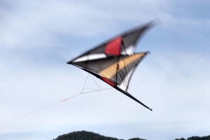 やっぱり楽しいデュアルライン