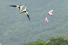 Revolution 1.5 JB-Model STD